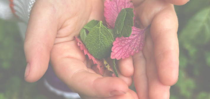 child's hands holding plants